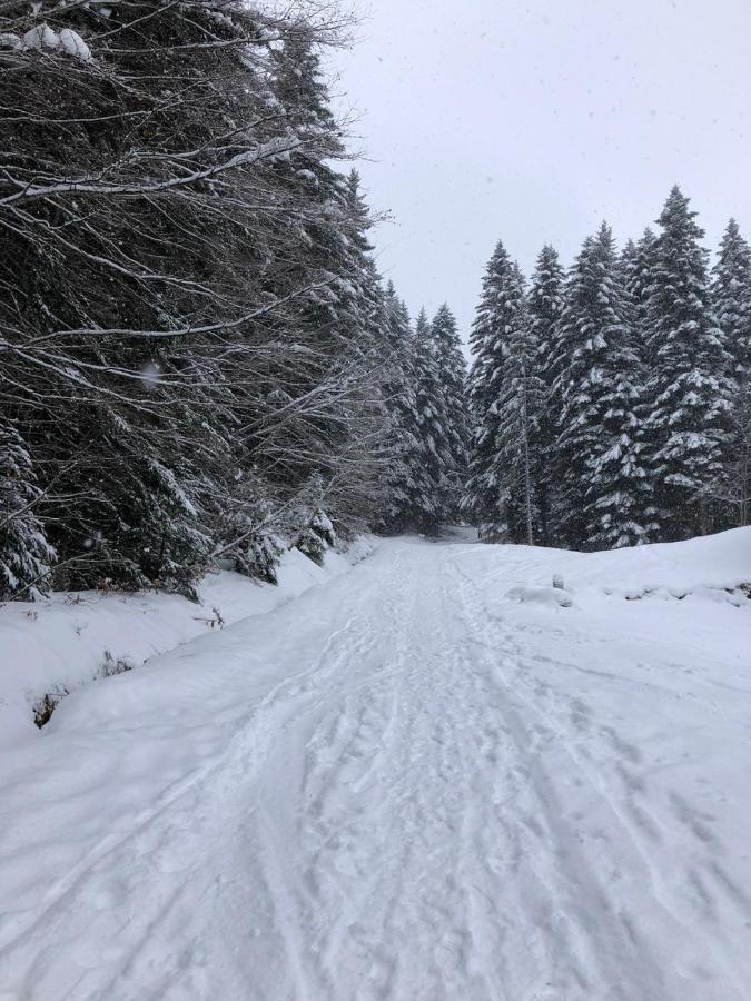 Studio Fondue Chocolat, 100M Des Pistes Wifi Fibre, Parking Prive Bernex Esterno foto